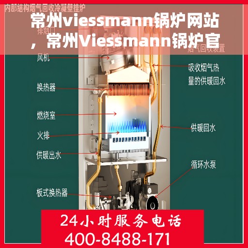 常州viessmann锅炉网站，常州Viessmann锅炉官网，专业提供高效锅炉解决方案