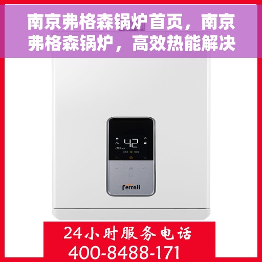 南京弗格森锅炉首页，南京弗格森锅炉，高效热能解决方案的首选之地