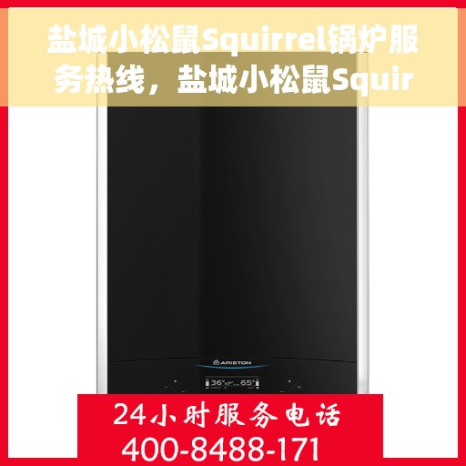 盐城小松鼠Squirrel锅炉服务热线，盐城小松鼠Squirrel锅炉服务热线，专业团队为您提供高效快捷的维修与支持服务