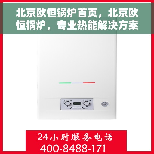北京欧恒锅炉首页，北京欧恒锅炉，专业热能解决方案的首页展示