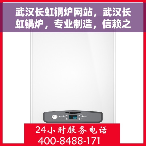 武汉长虹锅炉网站，武汉长虹锅炉，专业制造，信赖之选