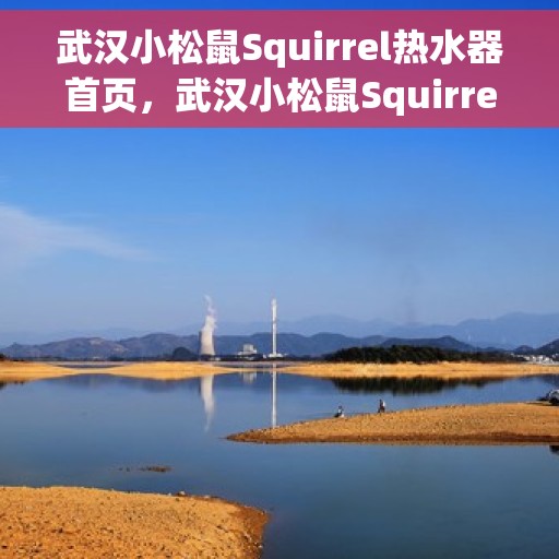 武汉小松鼠Squirrel热水器首页，武汉小松鼠Squirrel热水器，品质生活首选，温暖从此开始