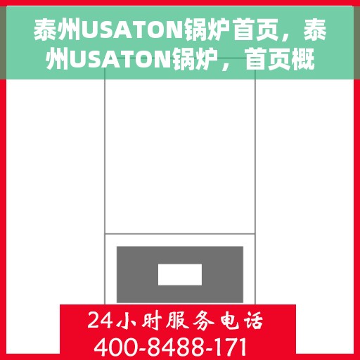 泰州USATON锅炉首页，泰州USATON锅炉，首页概览