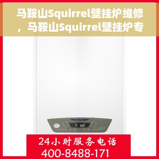 马鞍山Squirrel壁挂炉维修，马鞍山Squirrel壁挂炉专业维修服务