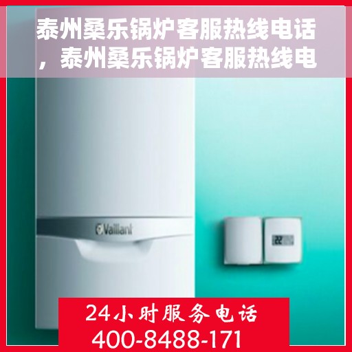 泰州桑乐锅炉客服热线电话，泰州桑乐锅炉客服热线电话详解，一站式解决方案与贴心服务体验