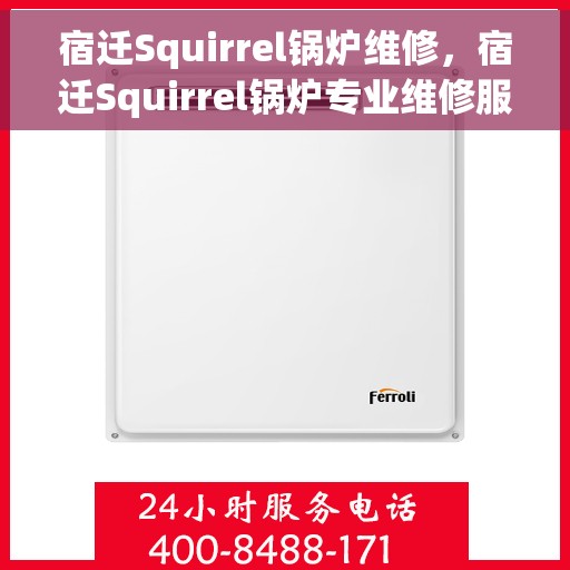 宿迁Squirrel锅炉维修，宿迁Squirrel锅炉专业维修服务