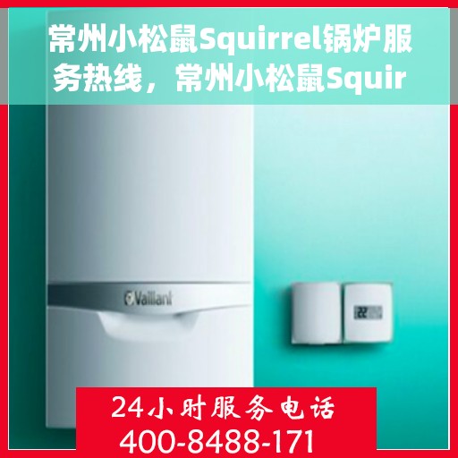 常州小松鼠Squirrel锅炉服务热线，常州小松鼠Squirrel锅炉服务热线，专业团队，高效解决您的锅炉问题