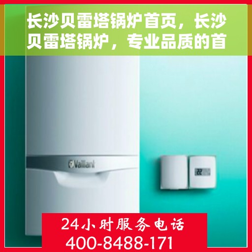 长沙贝雷塔锅炉首页，长沙贝雷塔锅炉，专业品质的首页呈现