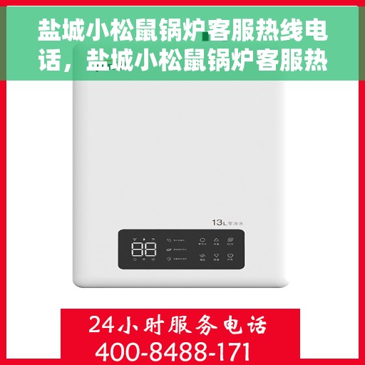 盐城小松鼠锅炉客服热线电话，盐城小松鼠锅炉客服热线电话——专业服务的连接桥梁