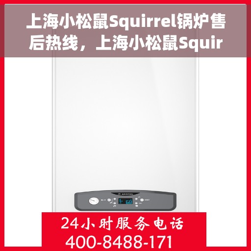 上海小松鼠Squirrel锅炉售后热线，上海小松鼠Squirrel锅炉售后服务热线，专业解决您的锅炉问题