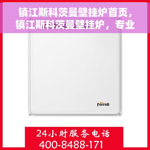 镇江斯科茨曼壁挂炉首页，镇江斯科茨曼壁挂炉，专业品质，温暖首选的首页介绍