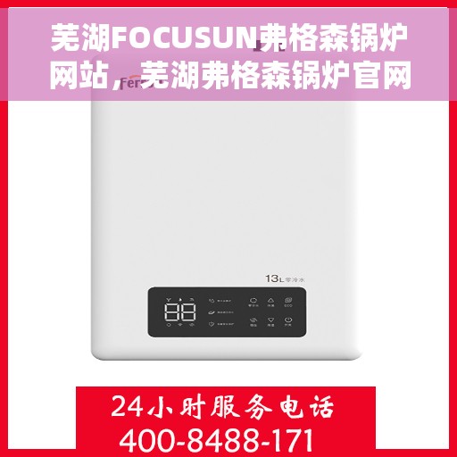 芜湖FOCUSUN弗格森锅炉网站，芜湖弗格森锅炉官网，专业锅炉解决方案提供者