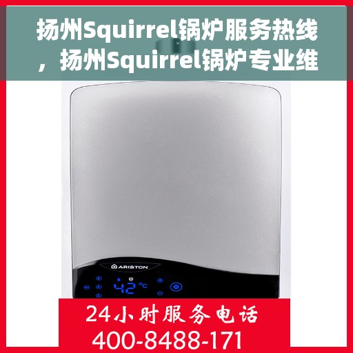 扬州Squirrel锅炉服务热线，扬州Squirrel锅炉专业维修服务热线