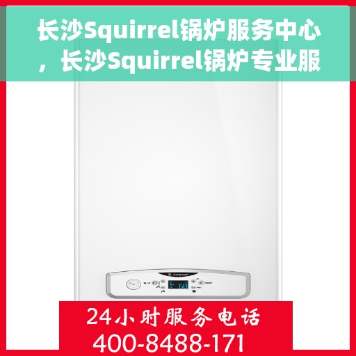 长沙Squirrel锅炉服务中心，长沙Squirrel锅炉专业服务中心