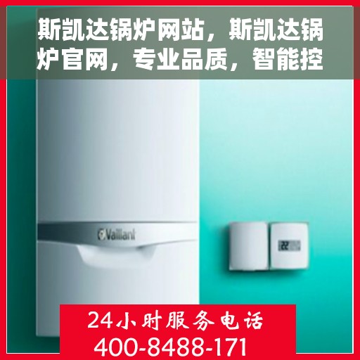 斯凯达锅炉网站，斯凯达锅炉官网，专业品质，智能控制的先锋