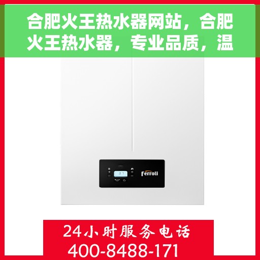 合肥火王热水器网站，合肥火王热水器，专业品质，温暖您的生活