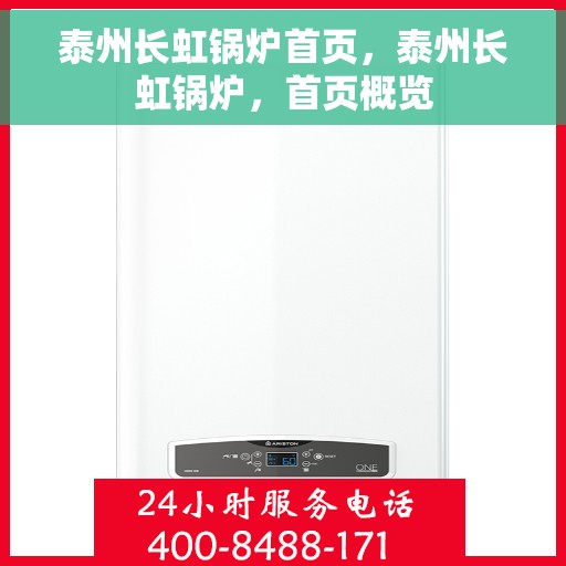 泰州长虹锅炉首页，泰州长虹锅炉，首页概览
