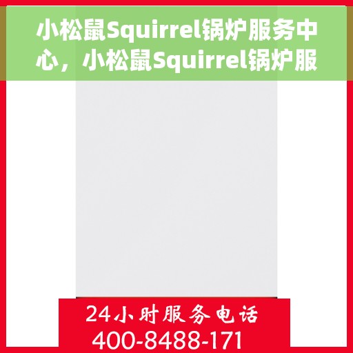小松鼠Squirrel锅炉服务中心，小松鼠Squirrel锅炉服务专业团队，高效、贴心的锅炉维护中心