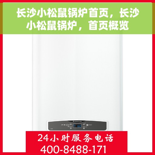 长沙小松鼠锅炉首页，长沙小松鼠锅炉，首页概览