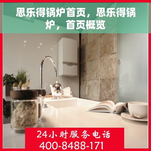 思乐得锅炉首页，思乐得锅炉，首页概览