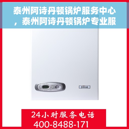 泰州阿诗丹顿锅炉服务中心，泰州阿诗丹顿锅炉专业服务中心，高效维修与优质服务的暖心之选