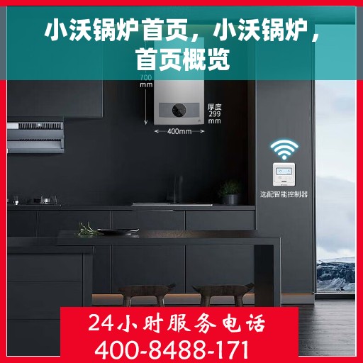 小沃锅炉首页，小沃锅炉，首页概览