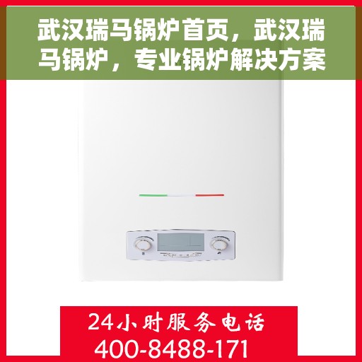 武汉瑞马锅炉首页，武汉瑞马锅炉，专业锅炉解决方案首页展示