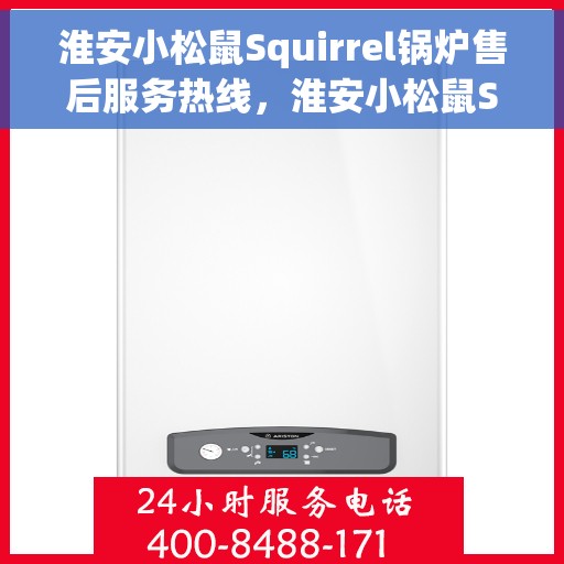 淮安小松鼠Squirrel锅炉售后服务热线，淮安小松鼠Squirrel锅炉售后热线专业服务团队支持