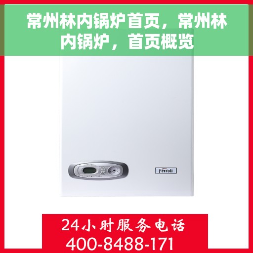 常州林内锅炉首页，常州林内锅炉，首页概览