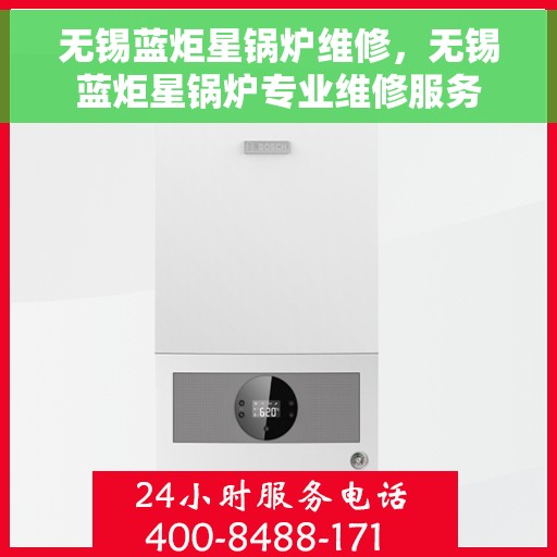 无锡蓝炬星锅炉维修，无锡蓝炬星锅炉专业维修服务