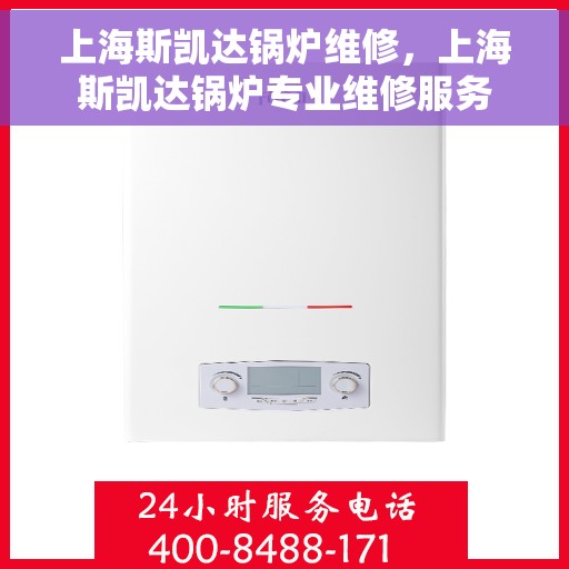上海斯凯达锅炉维修，上海斯凯达锅炉专业维修服务