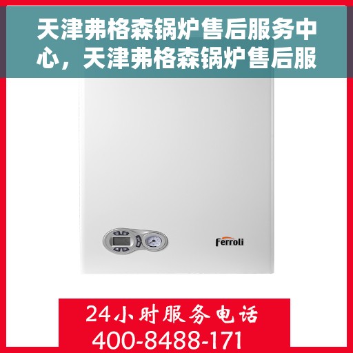 天津弗格森锅炉售后服务中心，天津弗格森锅炉售后服务中心，专业维修与优质服务并重