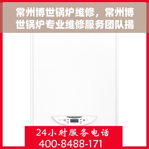 常州博世锅炉维修，常州博世锅炉专业维修服务团队揭秘