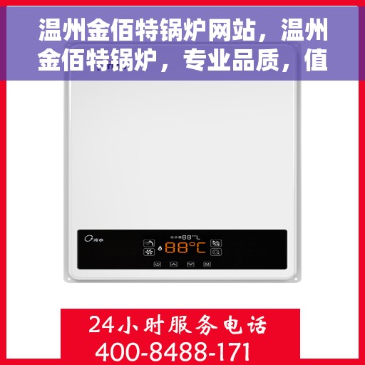 温州金佰特锅炉网站，温州金佰特锅炉，专业品质，值得信赖的锅炉解决方案提供商