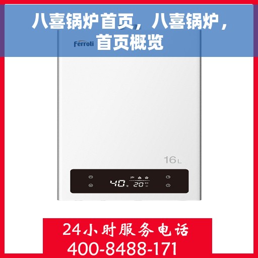 八喜锅炉首页，八喜锅炉，首页概览