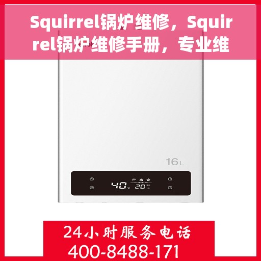 Squirrel锅炉维修，Squirrel锅炉维修手册，专业维护与故障排除指南