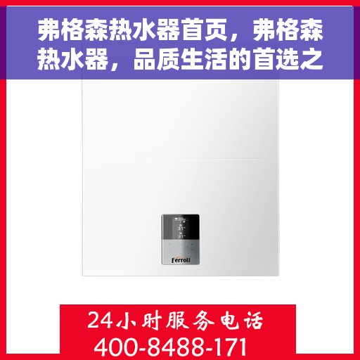 弗格森热水器首页，弗格森热水器，品质生活的首选之门