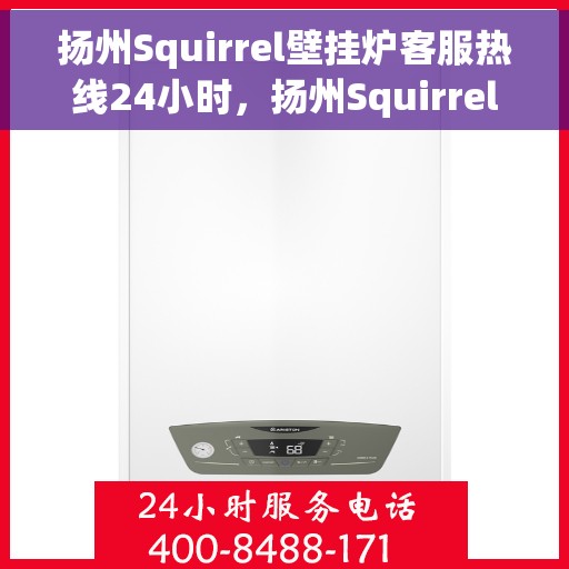 扬州Squirrel壁挂炉客服热线24小时，扬州Squirrel壁挂炉全天候客服热线，专业解答，温暖您的每一刻