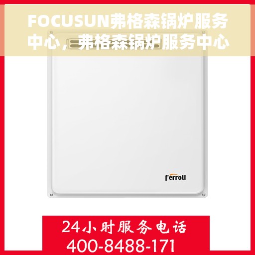 FOCUSUN弗格森锅炉服务中心，弗格森锅炉服务中心，专业维护与高效运行的守护者