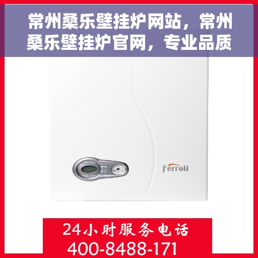 常州桑乐壁挂炉网站，常州桑乐壁挂炉官网，专业品质，智能温暖您的家