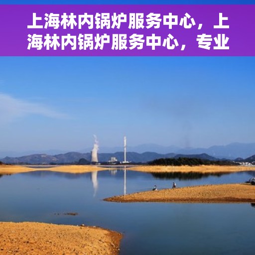 上海林内锅炉服务中心，上海林内锅炉服务中心，专业维修与高效服务的守护者