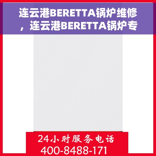 连云港BERETTA锅炉维修，连云港BERETTA锅炉专业维修服务