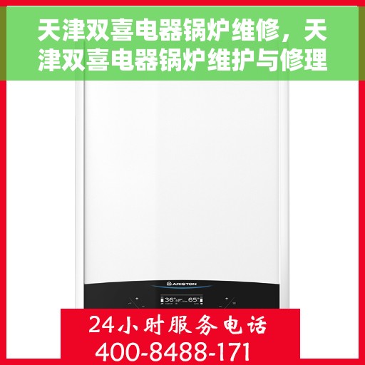天津双喜电器锅炉维修，天津双喜电器锅炉维护与修理专家揭秘