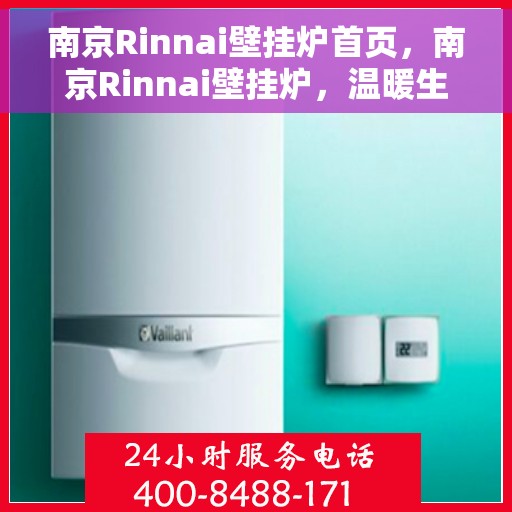 南京Rinnai壁挂炉首页，南京Rinnai壁挂炉，温暖生活的首选门户首页