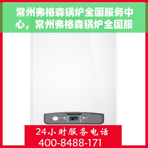 常州弗格森锅炉全国服务中心，常州弗格森锅炉全国服务中心，专业维修与优质服务并行