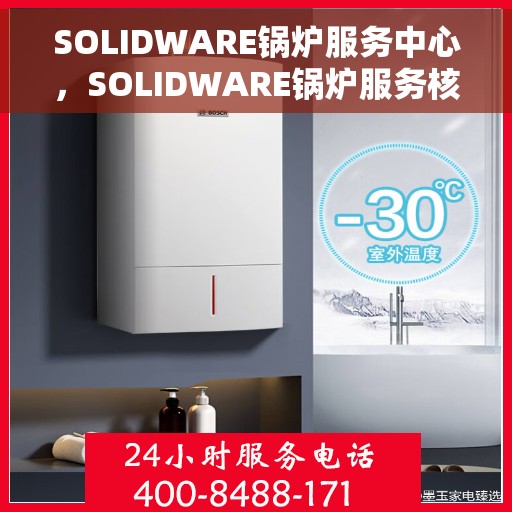 SOLIDWARE锅炉服务中心，SOLIDWARE锅炉服务核心团队，专业维护，高效运行保障