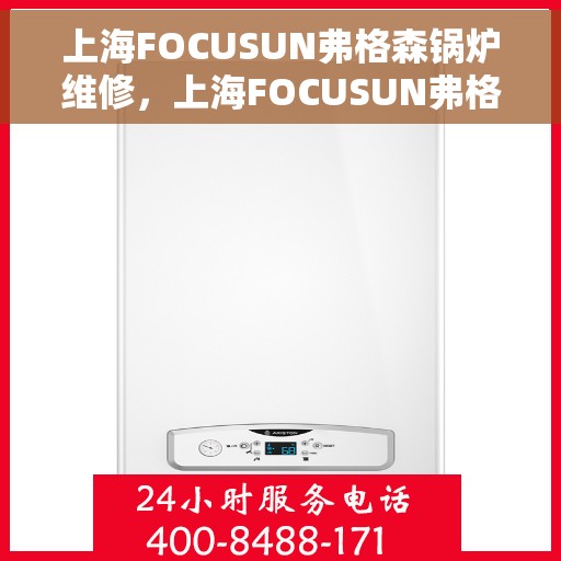 上海FOCUSUN弗格森锅炉维修，上海FOCUSUN弗格森锅炉专业维修服务