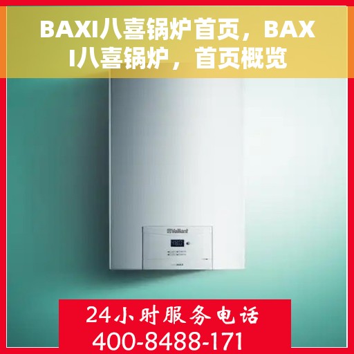 BAXI八喜锅炉首页，BAXI八喜锅炉，首页概览