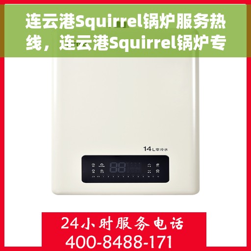 连云港Squirrel锅炉服务热线，连云港Squirrel锅炉专业维修服务热线
