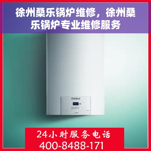 徐州桑乐锅炉维修，徐州桑乐锅炉专业维修服务